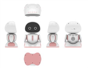 智能小型机器人销售与服务咨询，钱元供应，计算机网络工程施工与设计